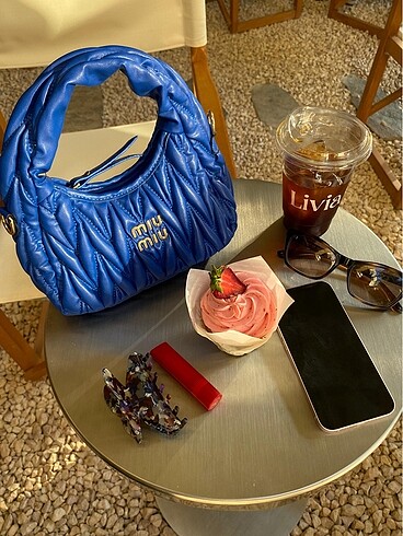 Miu Miu Wander Mini