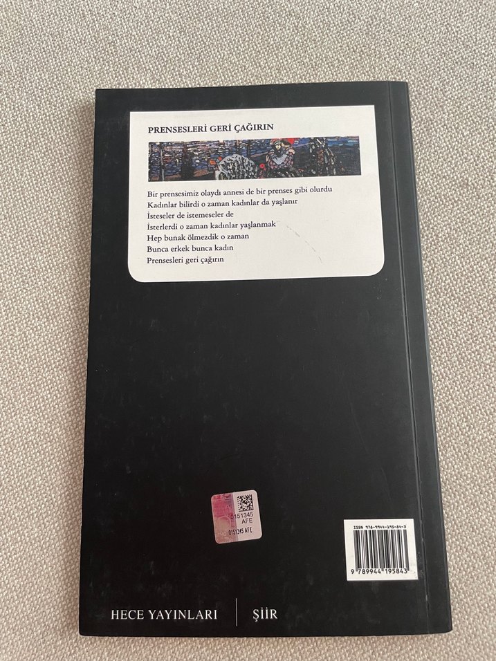 Prensesleri Geri Çağırın - Celâl Fedai şiir kitabı - Görsel 2