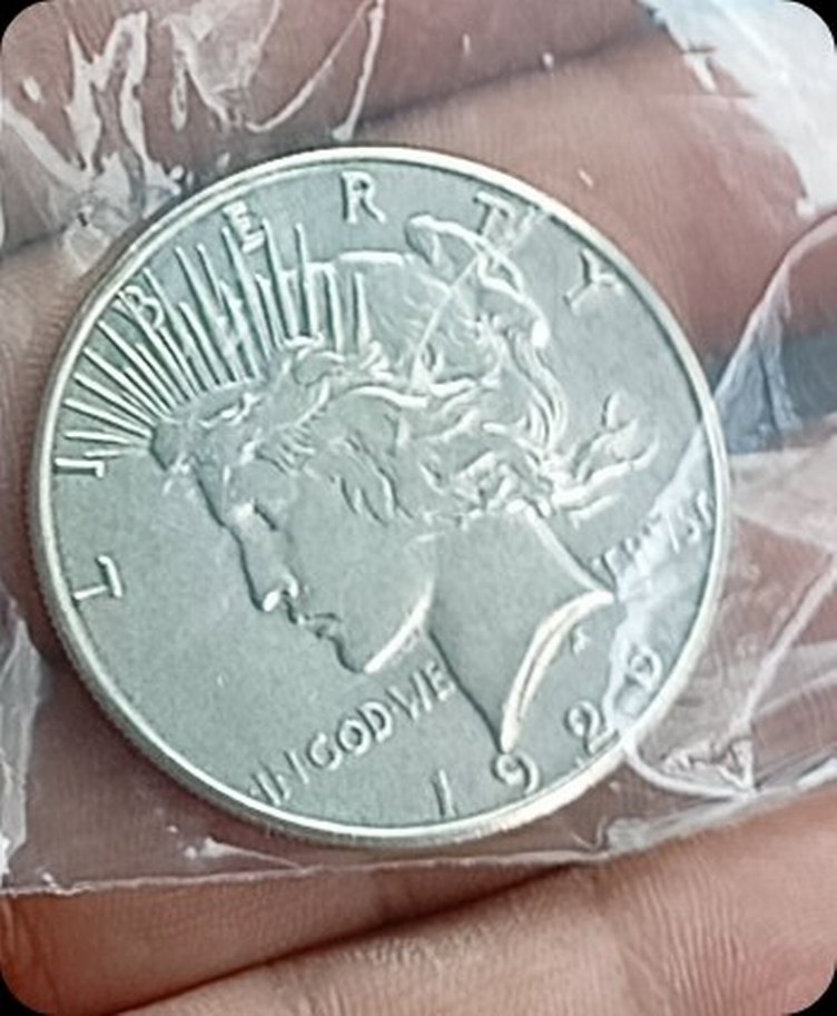 madeni para - Görsel 3