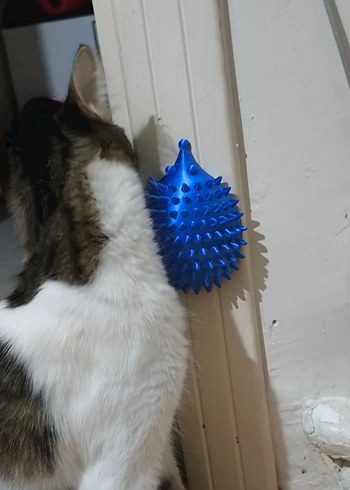 3D Baskı ile Kedi kaşıyıcısı - Görsel 3