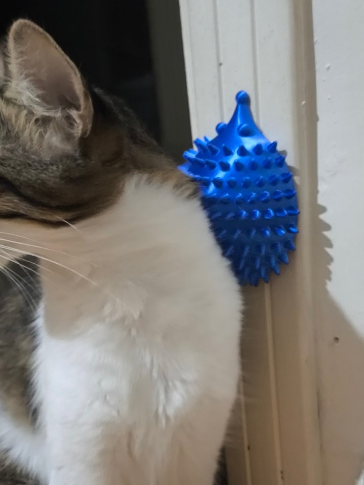 3D Baskı ile Kedi kaşıyıcısı - Görsel 2