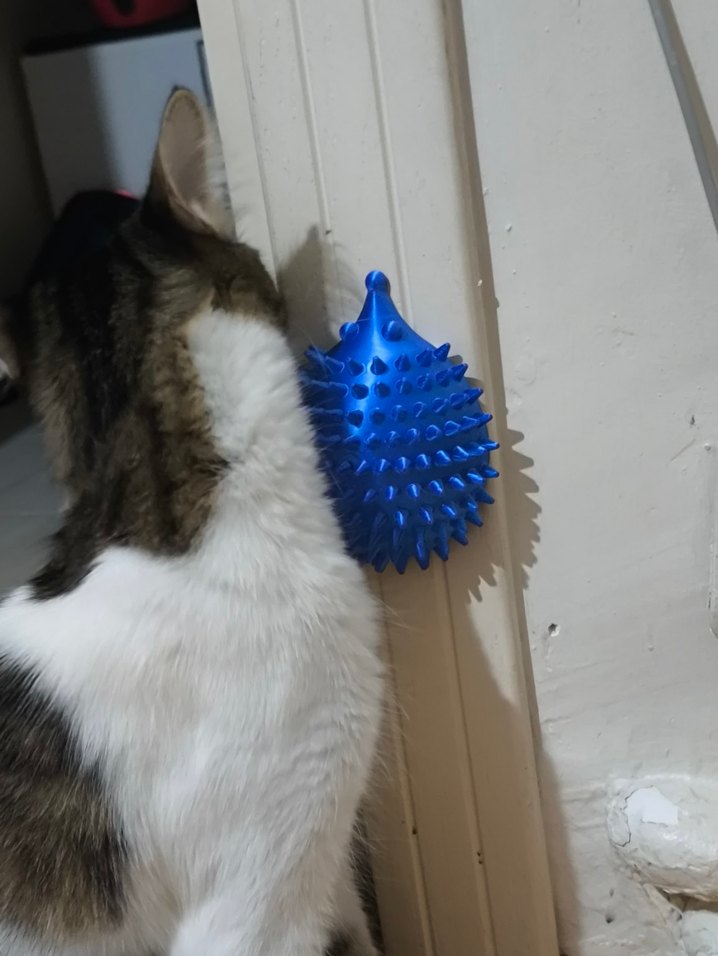 3D Baskı ile Kedi kaşıyıcısı - Görsel 3