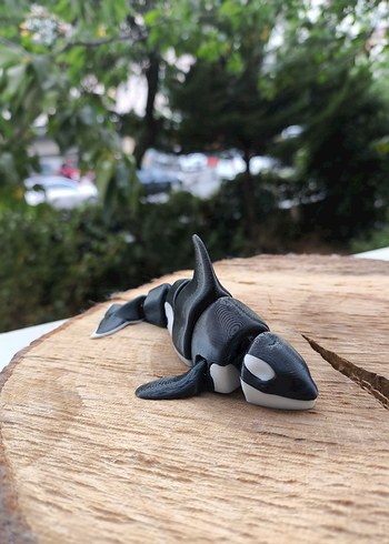 3D Baskı ile Siyah ve Beyaz Katil Balina Aksiyon Figürü