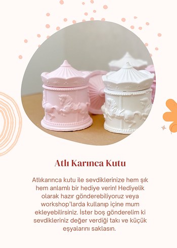 Atlı karınca saklama kutusu