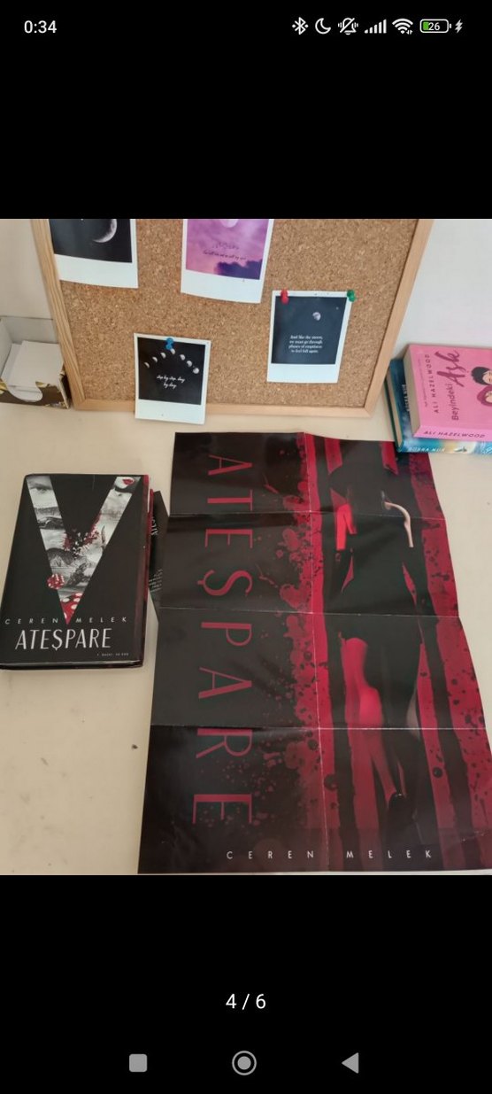 Ateşpare 1- ceren melek- yan boyamali özel baskı - Görsel 4