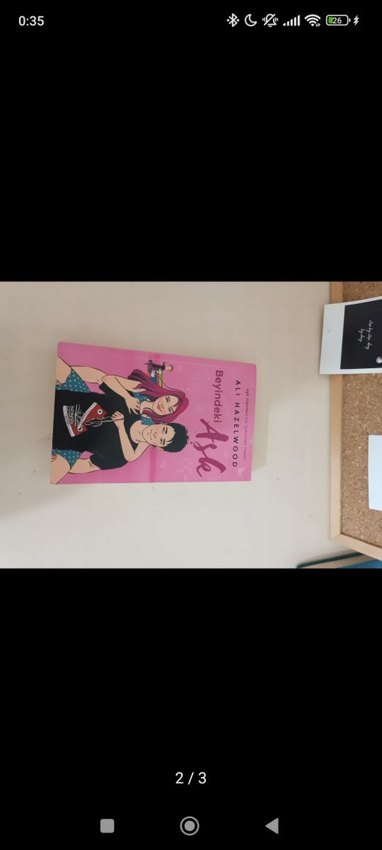 Ali Hazelwood - Beyindeki Aşk Romanı - Görsel 2