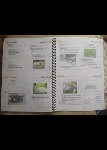  2024 KPSS Coğrafya ve Vatandaşlık