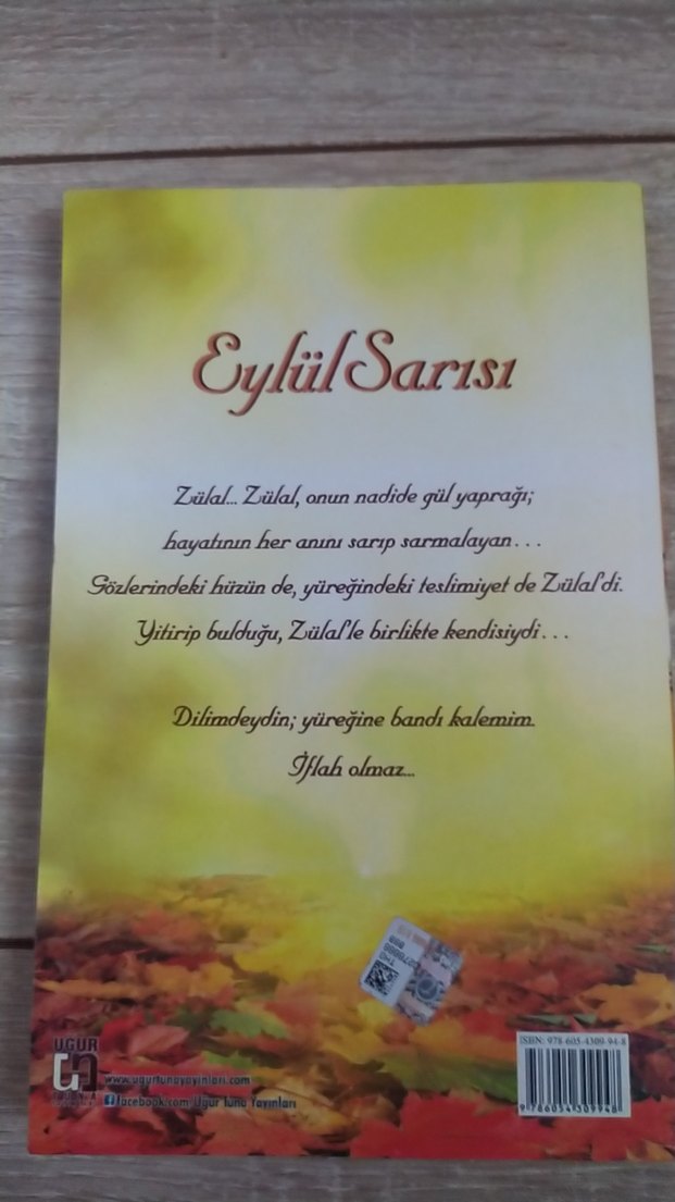 Eylül Sarısı - Eyyup Aksoy - Görsel 2