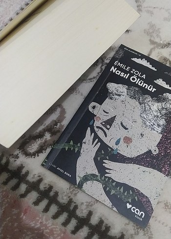  Charlotte Brontë ve Émile Zola Romanları