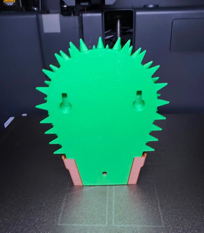 Kediler için Kaşıma Kaktüsü - Görsel 2