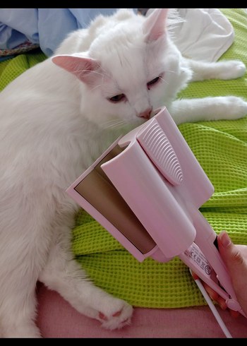 Shibowavy Jolvena Wag Maşası Pembe