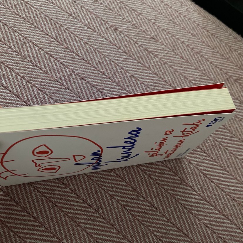 Gülüşün ve Unutuşun Kitabı - Milan Kundera - Görsel 5