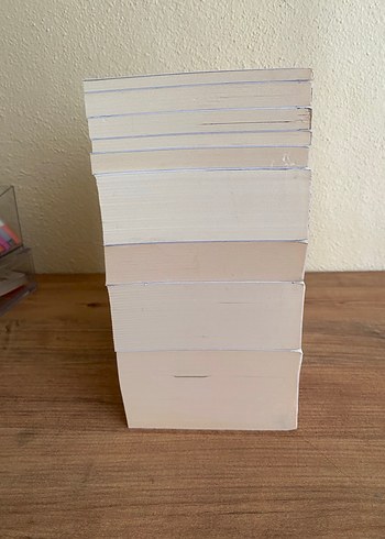 Fyodor Dostoyevski Klasik Kitap Seti - Görsel 4