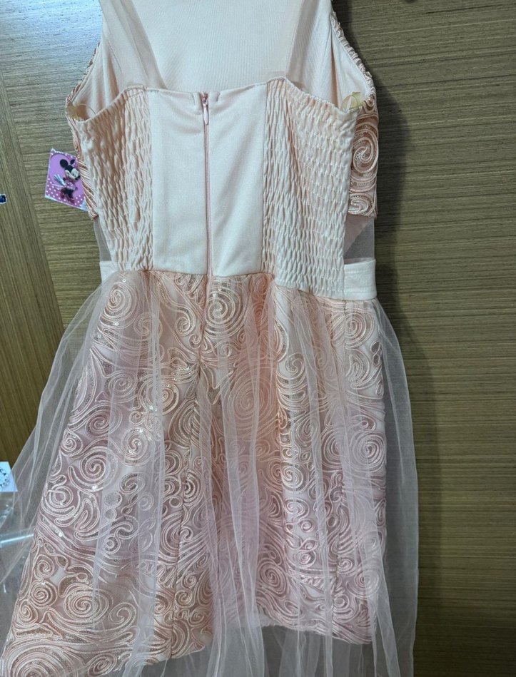 Somon renkli İşlemeli Uzun Tül mini Abiye Elbise - Görsel 2