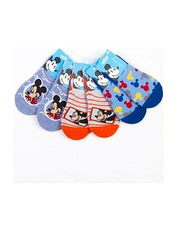 Walt Disney World 25