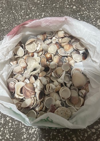 Gardrops ilanı