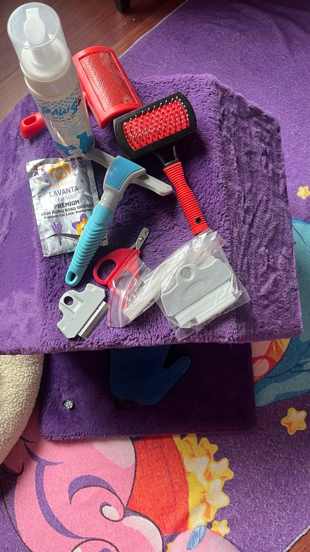 Renkli Mor Kedi Aksesuarları Seti - Görsel 3