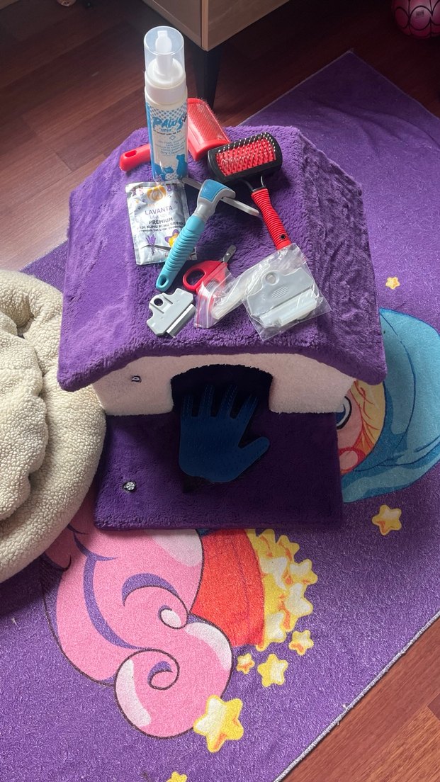 Renkli Mor Kedi Aksesuarları Seti - Görsel 2