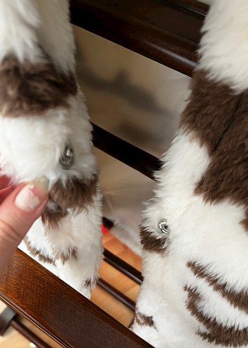 Kahverengi Zebra Desenli Kadın Peluş Ceket - Görsel 4