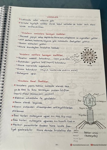 Beden TYT-AYT Biyoloji Defteri Ramazan Zeyrek