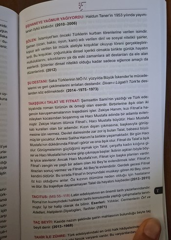 Üniversite Sınavlarında Çıkmış Edebiyat Terimleri Sözlüğü - Görsel 4