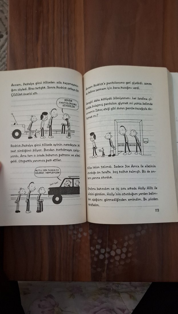 Saftirik Greg'in Günlüğü Türünün Son Örneği - Görsel 3