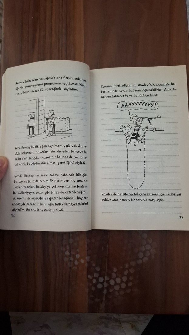 Saftirik Greg'in Günlüğü Türünün Son Örneği - Görsel 4