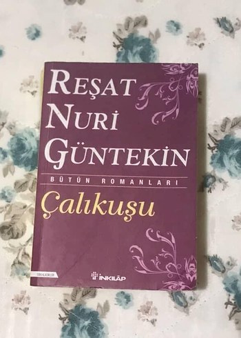 Reşat Nuri Güntekin - Çalıkuşu Romanı