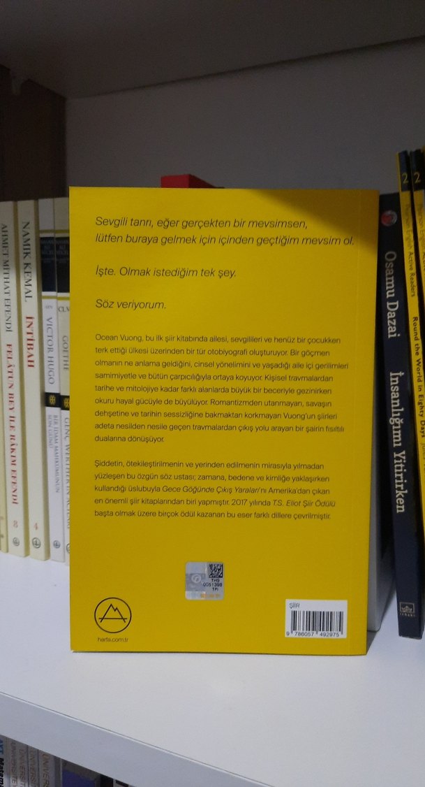 Gece Göğünde Çıkış Yaraları - Ocean Vuong - Görsel 2