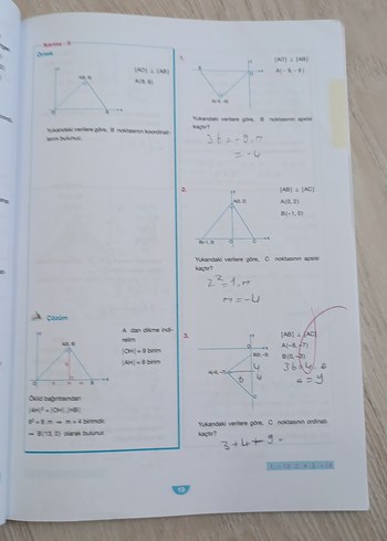 Beden Renk 11. Sınıf Matematik Analitik Geometri Soru Kitapçığı