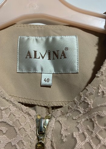 Alvina pardesü - Görsel 3