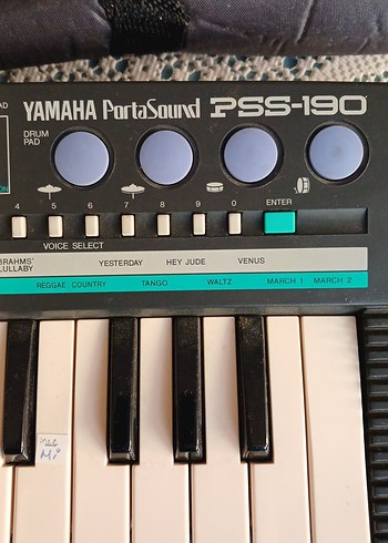 Taşınabilir Mini Org - Görsel 4