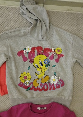 Kız Çocuk Renkli Uzun Kollu Tişört - Görsel 3