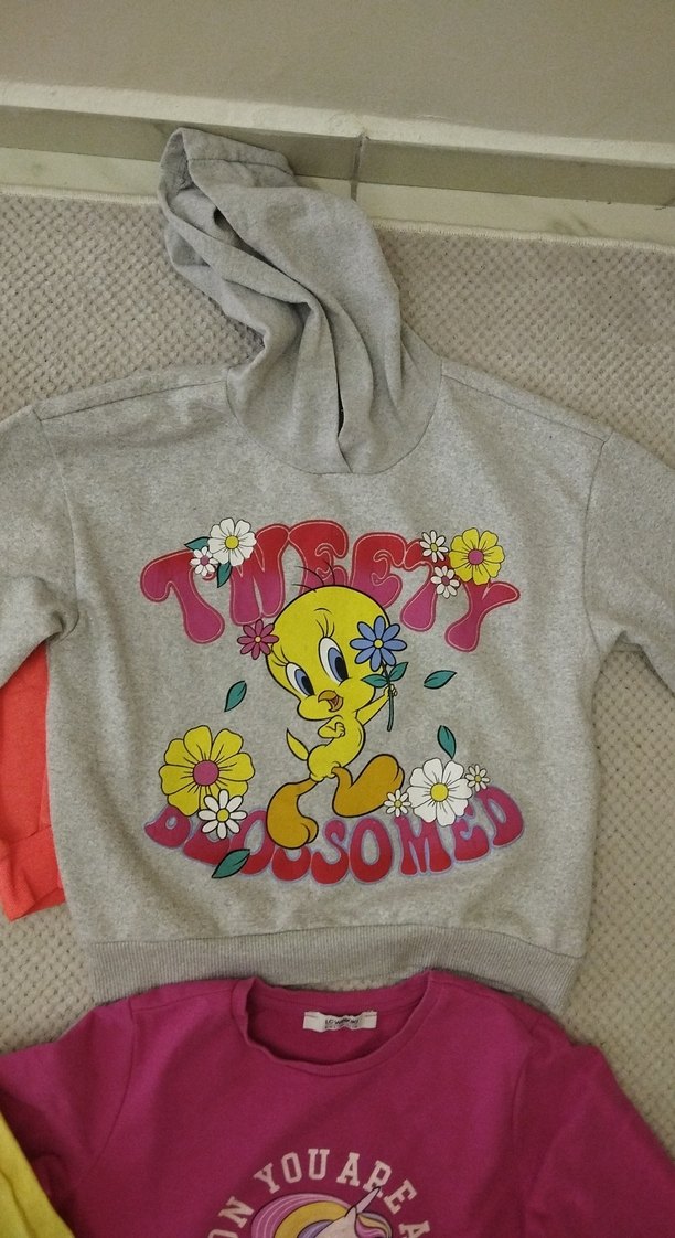 Kız Çocuk Renkli Uzun Kollu Tişört - Görsel 3