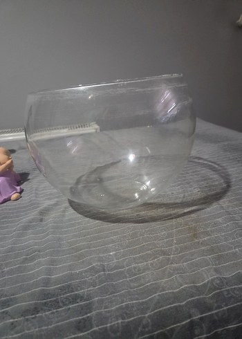 Şeffaf Yuvarlak fanus vs vazo - Görsel 5