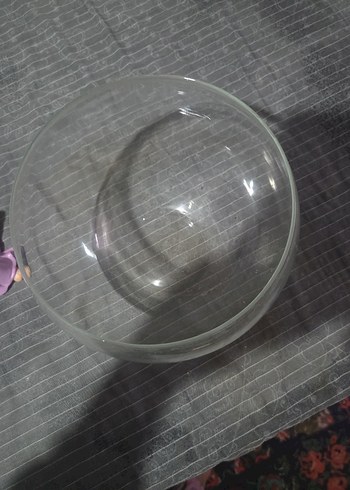 Şeffaf Yuvarlak fanus vs vazo - Görsel 6