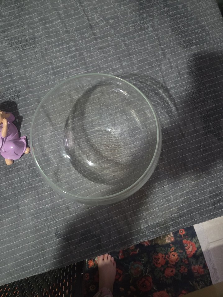 Şeffaf Yuvarlak fanus vs vazo - Görsel 4