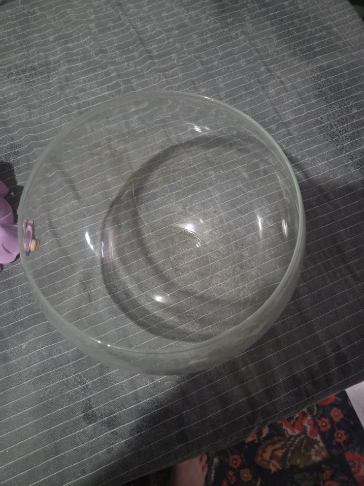 Şeffaf Yuvarlak fanus vs vazo - Görsel 2