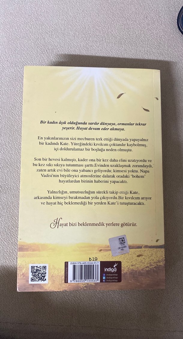 Sahip Olduğum Tek Şey - Renee Carlino - Görsel 2