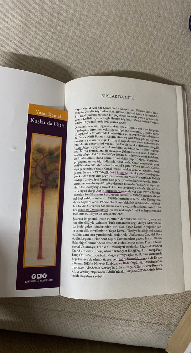 Yaşar Kemal - Kuşlar Da Gitti Roman - Görsel 3