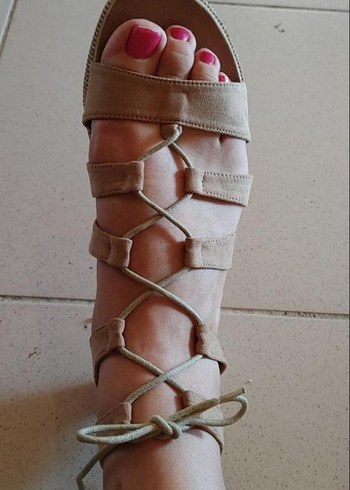 Bata 40