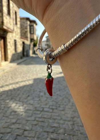 Çelik Pandora Charmları - Görsel 5