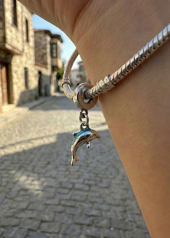 Çelik Pandora Charmları - Görsel 3