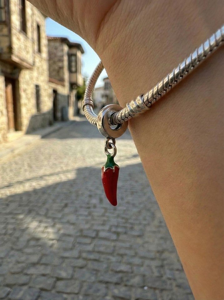 Çelik Pandora Charmları - Görsel 5