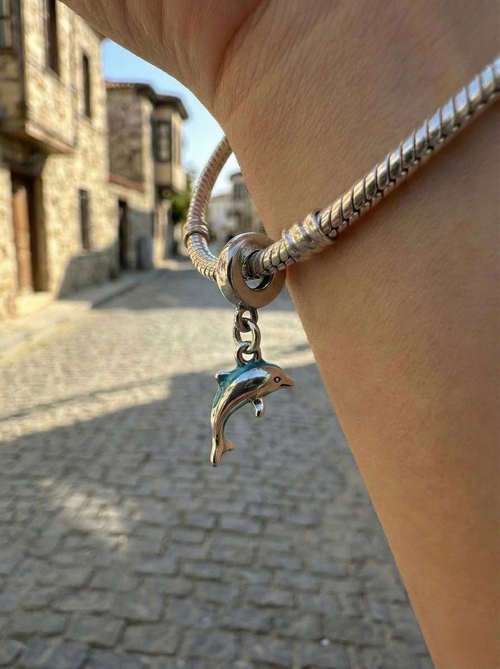 Çelik Pandora Charmları - Görsel 3