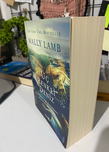 Wally Lamb - Üç Renkli Deniz Romanı