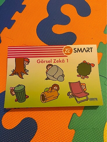 Beden Renk Zekare smart dikkat görsel seti 2-4 yaş