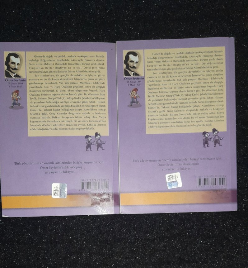 Ömer Seyfettin Seçme Hikayeler - Görsel 3