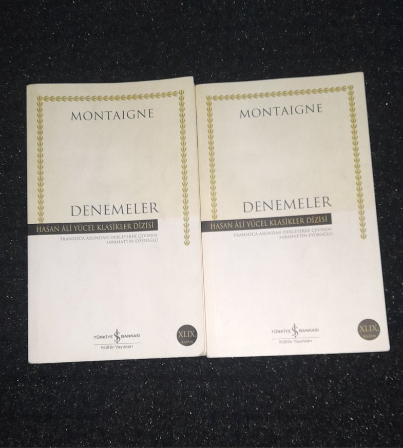 Montaigne - Denemeler Kitap(TANE FİYATIDIR) - Görsel 2