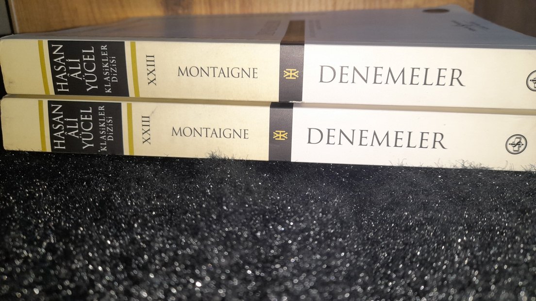 Montaigne - Denemeler Kitap(TANE FİYATIDIR) - Görsel 4